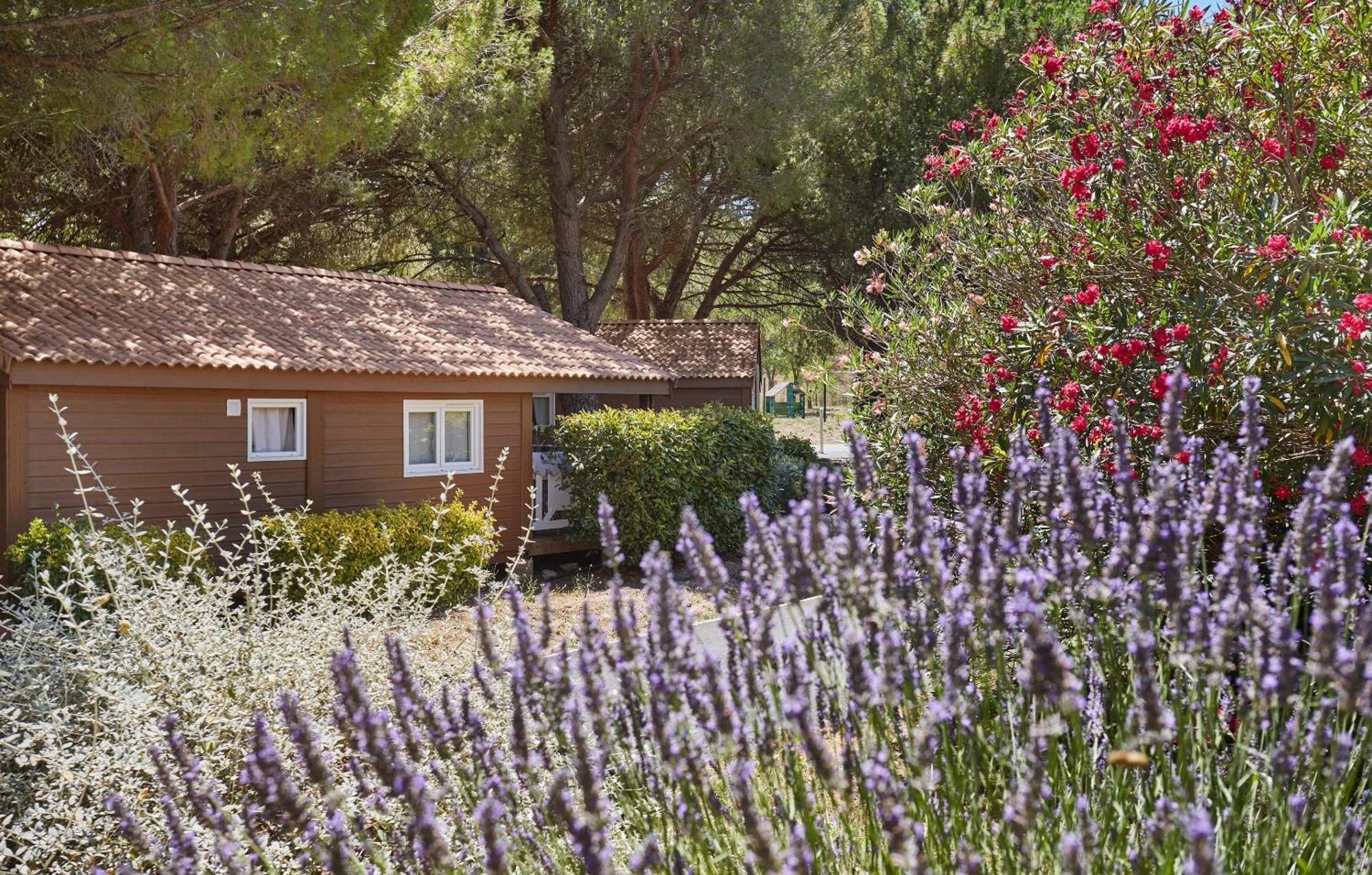 Residence Odalys Shangri-La Carnoux-en-Provence Luaran gambar